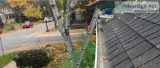 Gutter Cleaning in South Mission