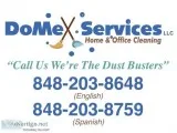 DOMEX SERVICES LLC