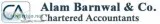 Get Professional Accounting Services - ALAM BARNWAL and CO
