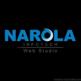 Web Application Design Development Company in USA - Narola Infot