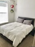 Serta QueenMattress Box springs and bed Reduced for quick sale