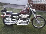 2000 HARLEY DAVIDSON 1200 CUSTOM