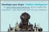 how to train your dogs effectively