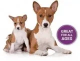 Amazing Pet Supplement