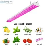 LED Grow Light for Indoor Plantations