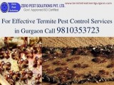 Dial 91-9810353723  pest control Gurgaon