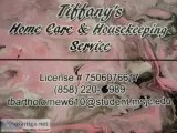 Domestic Services