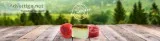 Natural Loofah Soaps India