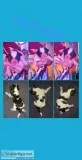 Shih ztu mixed shippo pupps