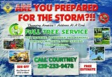 TREE SERVICE REMOVALS LAND CLEARING FORESTRY MULCHING