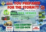 TREE SERVICE REMOVALS LAND CLEARING FORESTRY MULCHING