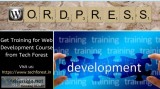 Get Training for Web Development Course from Tech Forest