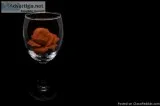 What&rsquos Better Roses or Red Wine Red Wine Wins