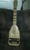 Pro joe lap steel guitar