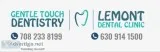best dentist Lemont
