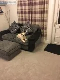 CHEAP CARPETS VINYL LAMINATE