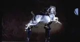looking for partner horse show restaurant