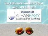 The Ultimate Carpet Cleaning Special