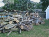 Free Fire Wood