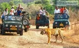 Jim Corbett National Park Packages