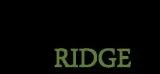 Basement Remodeling Regina