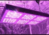 Buy Grow Led Lights Online for Sale in Edmonton  Urbanindoor.ca