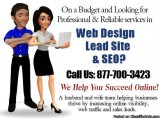 Need a Web Designer or SEO Expert We Can Help