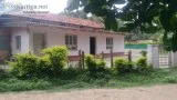 15 Acres of coffee estate for Sale in Belur Hassan