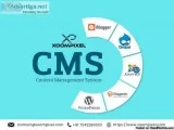 Seo Services in Delhi NCR