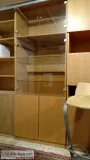 Tall cabinet for Living Rm or Den with glass doors and shelves