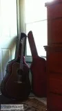 fender newporter