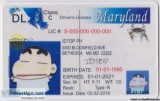 THE BEST DRIVERS LICENSE VENDOR