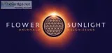 Quantum Technology from the Sun