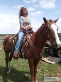 Gelding horse for sale 15 yrs old