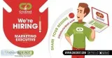 Marketing Executive