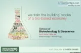 Ph.D.  M.Sc  BSc (H) in Biotechnology Microbiology from Brainwar