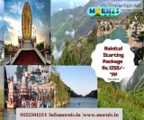 camping in Nainital Pangot
