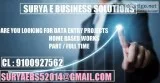 SEBS OFFERS TRUSTED DATA ENTRY WORKS