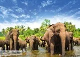 International group tour packages