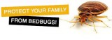 As Your Need  Providing  High Quality Product Of Pest Control Lo