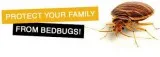 As Your Need  Providing  High Quality Product Of Pest Control Lo