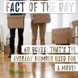 Move Out Move In Deep Cleaning services