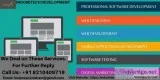 Software Services Company