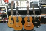 Clases de Guitarra Clasica y Guitarra Electrica Particulares
