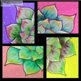 Sacramento Studio 84 Succulent  Double Canvas  10 Off