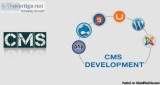 Get a Cost-effective Solution with the CMS Development Company i