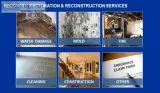 mold restoration service