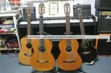 Music Lessons in Mexico City Classical Guitar and Electric Guita