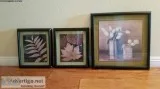 Pictures glass framed and matted