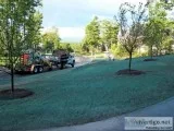 Myrice Landscape and Design